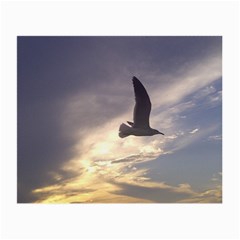 Seagull 1 Small Glasses Cloth (2-side) by Jamboo