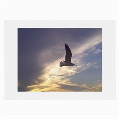 Seagull 1 Large Glasses Cloth (2-side) by Jamboo