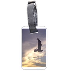 Seagull 1 Luggage Tags (one Side)  by Jamboo