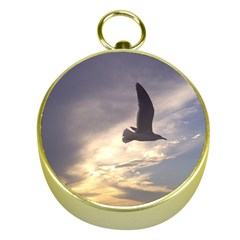 Seagull 1 Gold Compasses by Jamboo