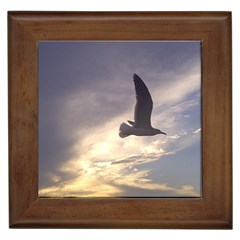 Fly Seagull Framed Tiles by Jamboo