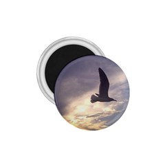 Fly Seagull 1 75  Magnets by Jamboo