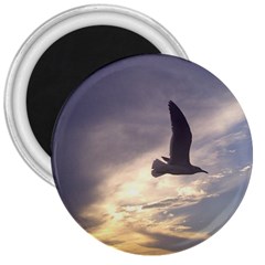 Fly Seagull 3  Magnets by Jamboo