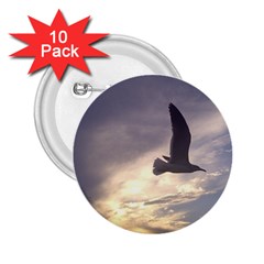 Fly Seagull 2 25  Buttons (10 Pack) 