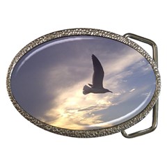 Fly Seagull Belt Buckles