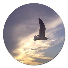 Fly Seagull Magnet 5  (round) by Jamboo