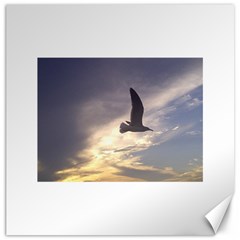 Fly Seagull Canvas 12  X 12   by Jamboo