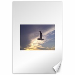 Fly Seagull Canvas 12  X 18   by Jamboo