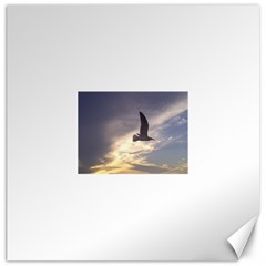 Fly Seagull Canvas 20  X 20   by Jamboo