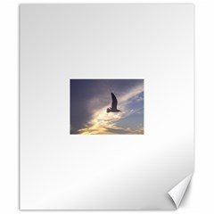 Fly Seagull Canvas 20  X 24   by Jamboo