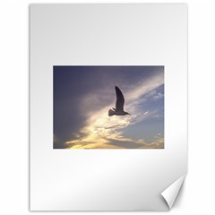 Fly Seagull Canvas 36  X 48   by Jamboo