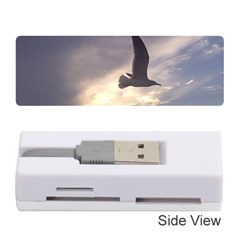 Fly Seagull Memory Card Reader (stick)  by Jamboo