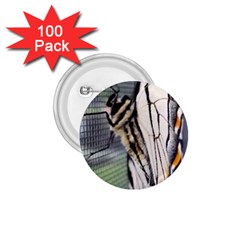 Butterfly 1 1.75  Buttons (100 pack) 