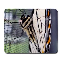 Butterfly 1 Large Mousepads