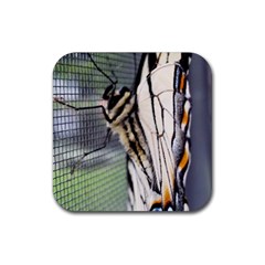 Butterfly 1 Rubber Coaster (Square) 