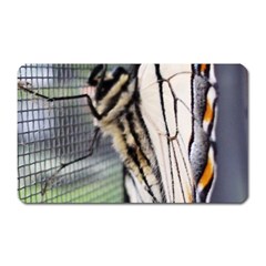 Butterfly 1 Magnet (Rectangular)