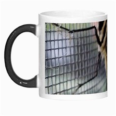 Butterfly 1 Morph Mugs