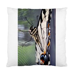 Butterfly 1 Standard Cushion Cases (Two Sides) 