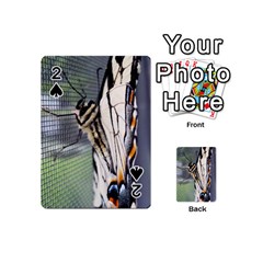 Butterfly 1 Playing Cards 54 (Mini) 