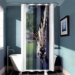 Butterfly 1 Shower Curtain 36  x 72  (Stall) 