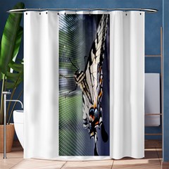 Butterfly 1 Shower Curtain 60  x 72  (Medium) 