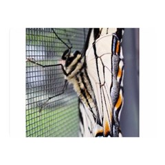 Butterfly 1 Double Sided Flano Blanket (Mini) 