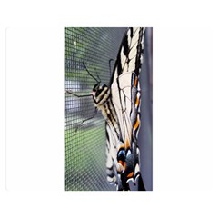 Butterfly 1 Double Sided Flano Blanket (medium)  by Jamboo