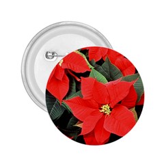 Poinsettia 2 25  Buttons by trendistuff