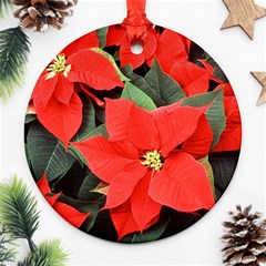 Poinsettia Ornament (round)  by trendistuff