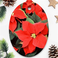 Poinsettia Oval Ornament (two Sides) by trendistuff