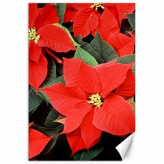 Poinsettia Canvas 20  X 30   by trendistuff