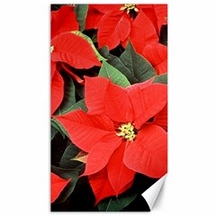 Poinsettia Canvas 40  X 72   by trendistuff