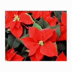 Poinsettia Small Glasses Cloth (2-side) by trendistuff