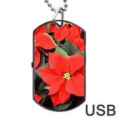 Poinsettia Dog Tag Usb Flash (one Side) by trendistuff