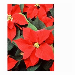 Poinsettia Small Garden Flag (two Sides) by trendistuff