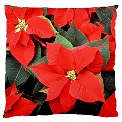 Poinsettia Large Cushion Cases (one Side)  by trendistuff