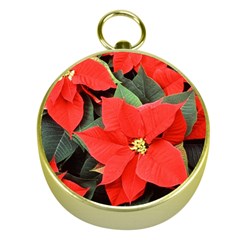 Poinsettia Gold Compasses by trendistuff