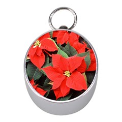 Poinsettia Mini Silver Compasses by trendistuff