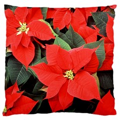 Poinsettia Standard Flano Cushion Cases (one Side)  by trendistuff