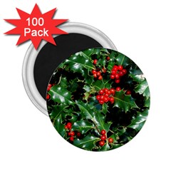 HOLLY 2 2.25  Magnets (100 pack) 