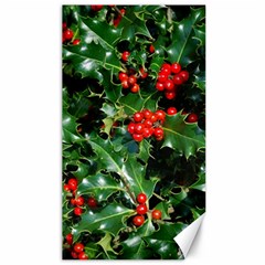 HOLLY 2 Canvas 40  x 72  