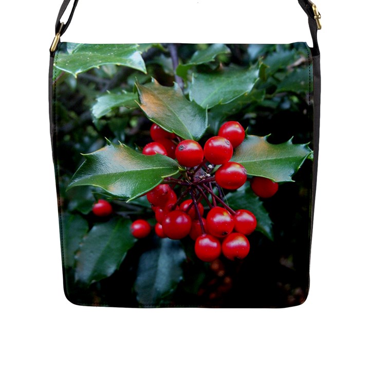 HOLLY 1 Flap Messenger Bag (L) 