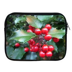 Holly 1 Apple Ipad 2/3/4 Zipper Cases by trendistuff