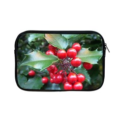 Holly 1 Apple Ipad Mini Zipper Cases