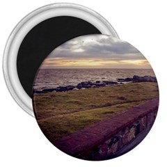 Playa Verde Coast In Montevideo Uruguay 3  Magnets by dflcprints