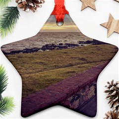 Playa Verde Coast In Montevideo Uruguay Star Ornament (two Sides)  by dflcprints