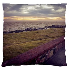 Playa Verde Coast In Montevideo Uruguay Standard Flano Cushion Cases (two Sides)  by dflcprints