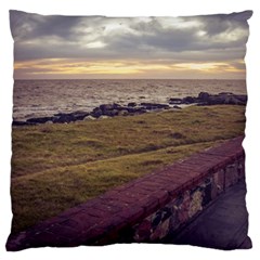 Playa Verde Coast In Montevideo Uruguay Large Flano Cushion Cases (one Side)  by dflcprints