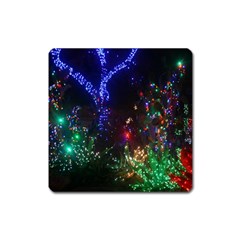 Christmas Lights 2 Square Magnet by trendistuff