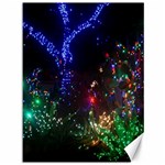 CHRISTMAS LIGHTS 2 Canvas 36  x 48   35.26 x46.15  Canvas - 1